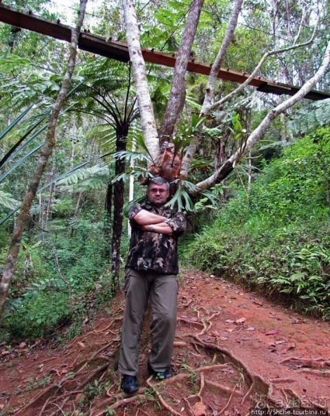 Частный парк "Vakona" - крокодилы, фосса и не только...