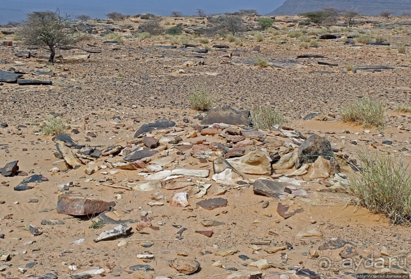 На старой караванной дороге