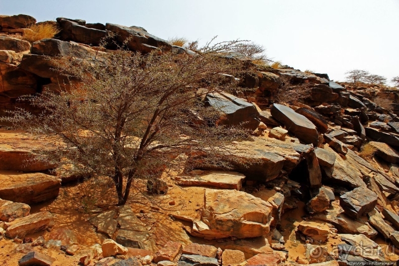 На старой караванной дороге