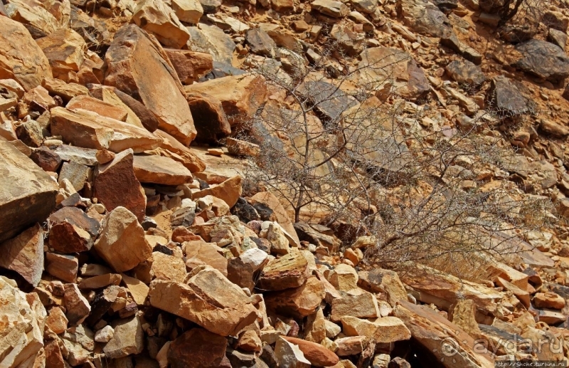 На старой караванной дороге