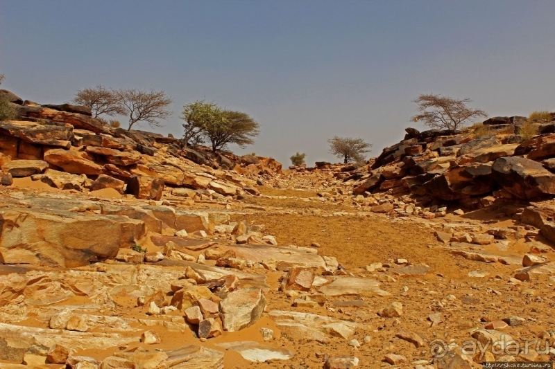 На старой караванной дороге