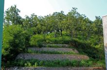 Чонсам — образцово-показательная деревня в КНДР