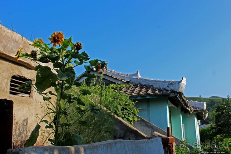 Чонсам — образцово-показательная деревня в КНДР