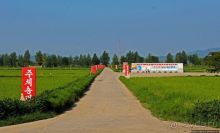 Чонсам — образцово-показательная деревня в КНДР