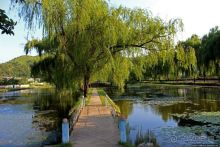 Чонсам — образцово-показательная деревня в КНДР