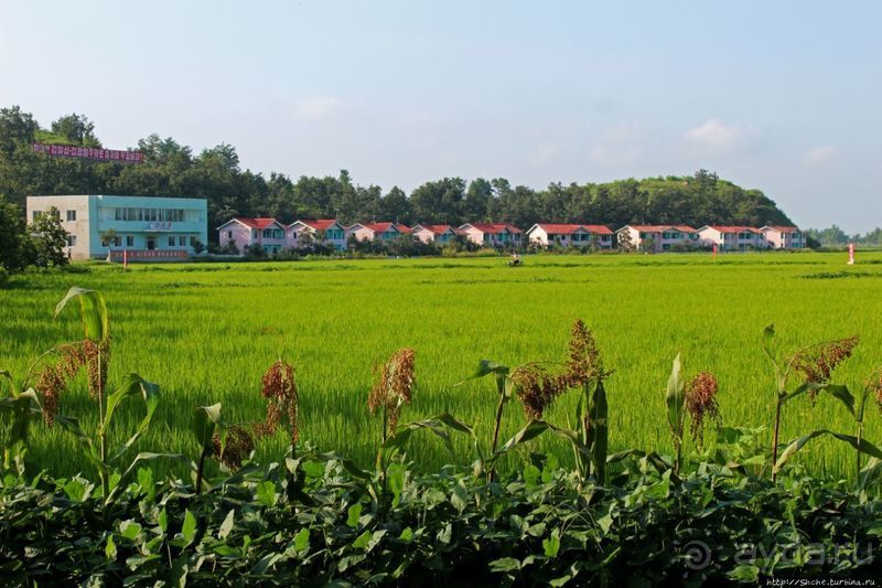 Чонсам — образцово-показательная деревня в КНДР