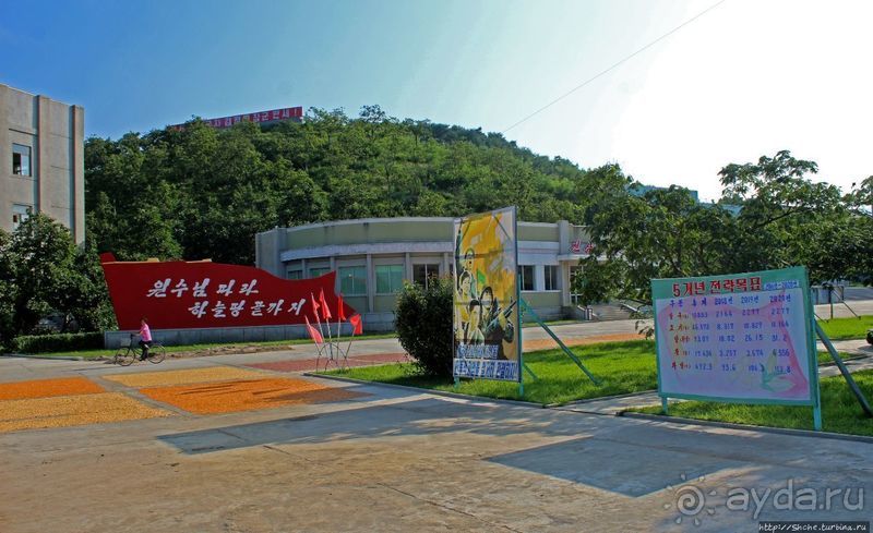 Чонсам — образцово-показательная деревня в КНДР