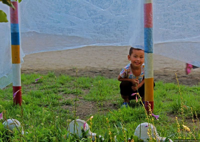 Чонсам — образцово-показательная деревня в КНДР