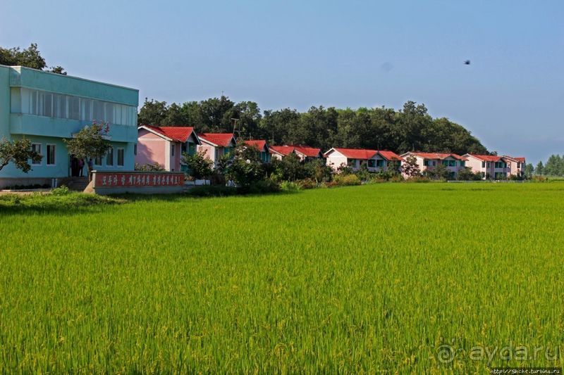 Чонсам — образцово-показательная деревня в КНДР