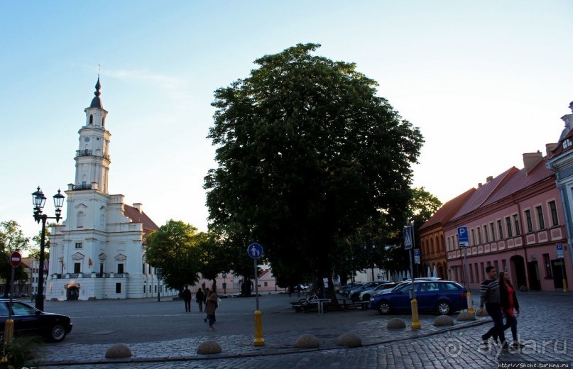 Альбом отзыва "Ратушная площадь — сердце исторического центра Каунаса"