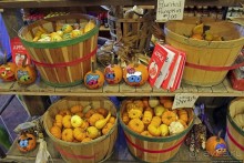 В гостях у Радуги. Черничная горчица и др. на ферме Вермонта