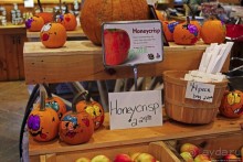 В гостях у Радуги. Черничная горчица и др. на ферме Вермонта