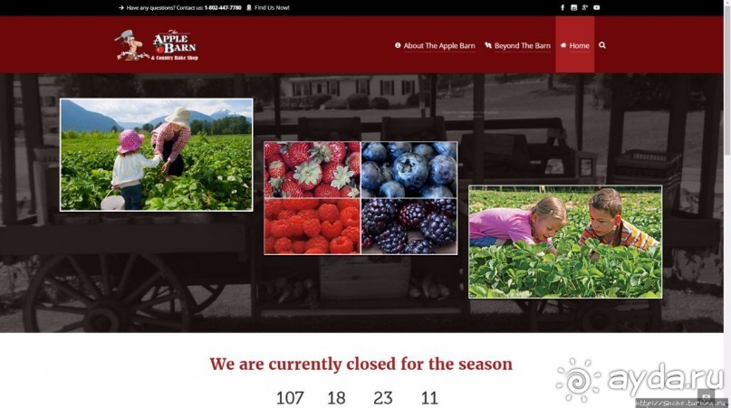 В гостях у Радуги. Черничная горчица и др. на ферме Вермонта