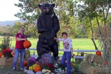 В гостях у Радуги. Черничная горчица и др. на ферме Вермонта