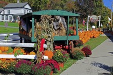 В гостях у Радуги. Черничная горчица и др. на ферме Вермонта