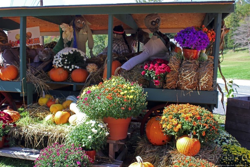 В гостях у Радуги. Черничная горчица и др. на ферме Вермонта