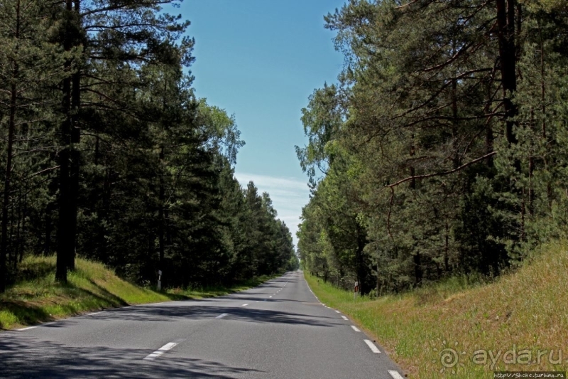 Куршкая Коса (Литовский участок) — объект ЮНЕСКО №994