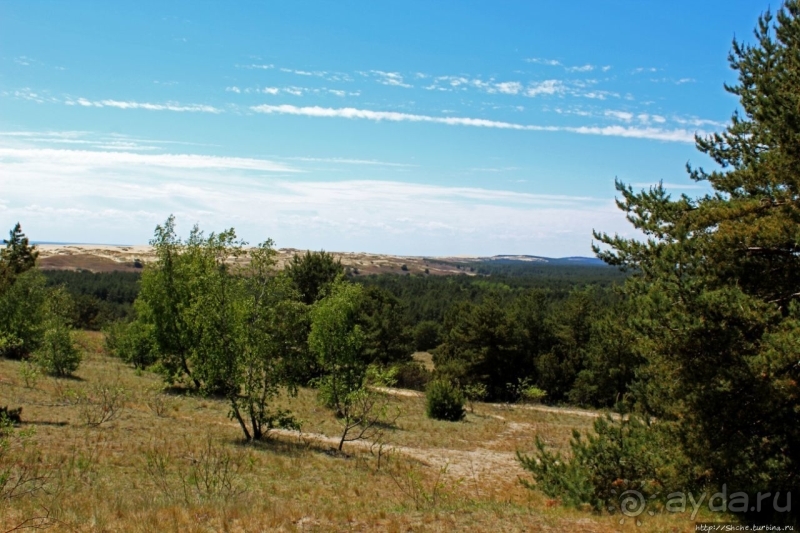 Куршкая Коса (Литовский участок) — объект ЮНЕСКО №994