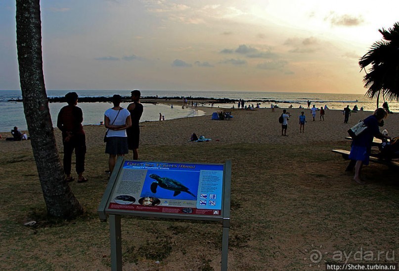 Над Лихуе опустились сумерки. Конец "трудового" дня на Кауаи