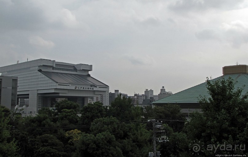 Над Токио... на автомобиле