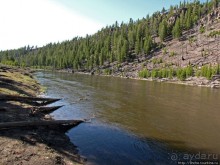 Река Мэдисон (Madison River) - 23 километра пути