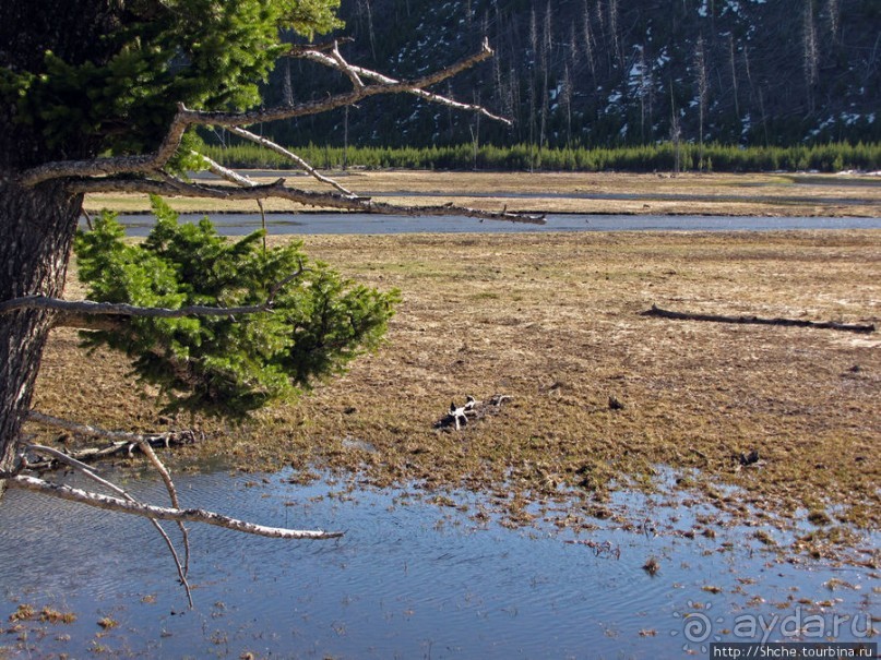 Река Мэдисон (Madison River) - 23 километра пути