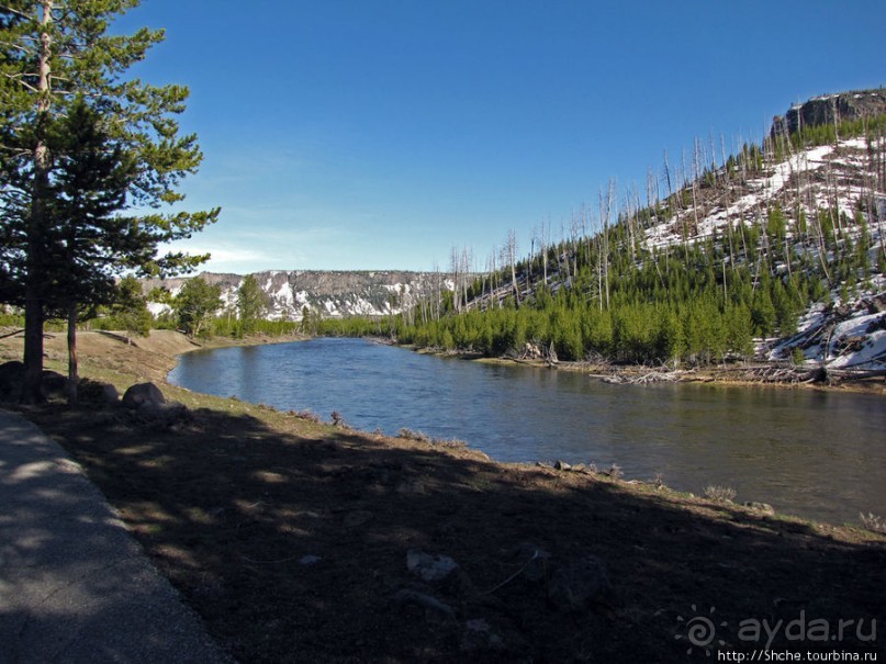 Река Мэдисон (Madison River) - 23 километра пути