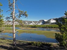 Река Мэдисон (Madison River) - 23 километра пути