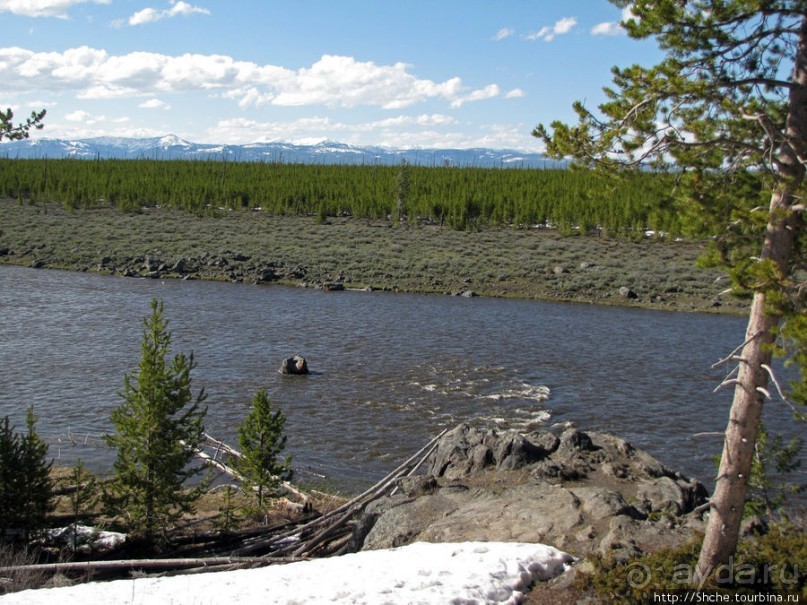 Река Мэдисон (Madison River) - 23 километра пути