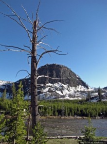 Река Мэдисон (Madison River) - 23 километра пути