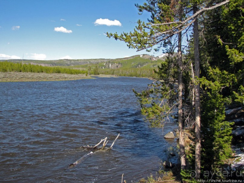 Река Мэдисон (Madison River) - 23 километра пути