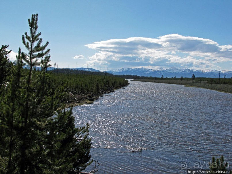 Река Мэдисон (Madison River) - 23 километра пути