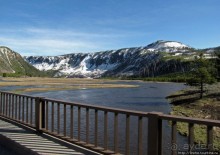 Река Мэдисон (Madison River) - 23 километра пути