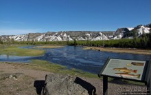 Река Мэдисон (Madison River) - 23 километра пути