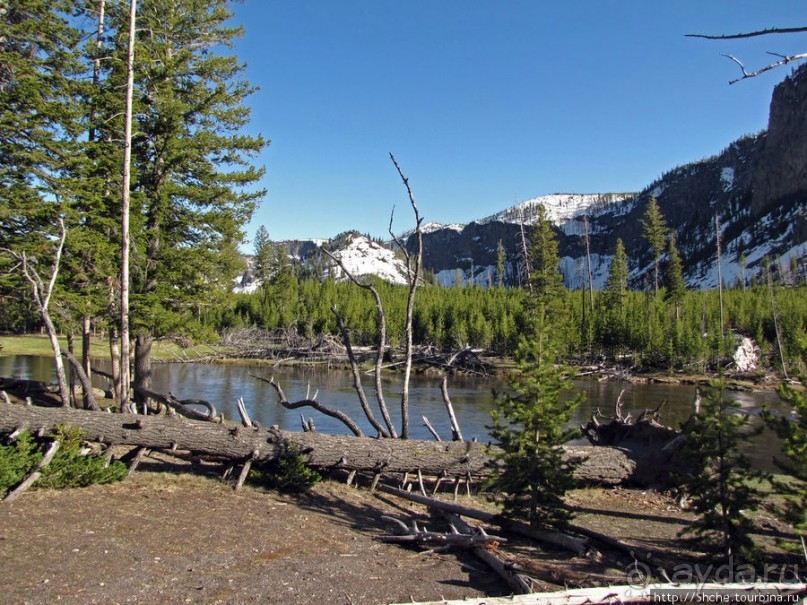 Река Мэдисон (Madison River) - 23 километра пути