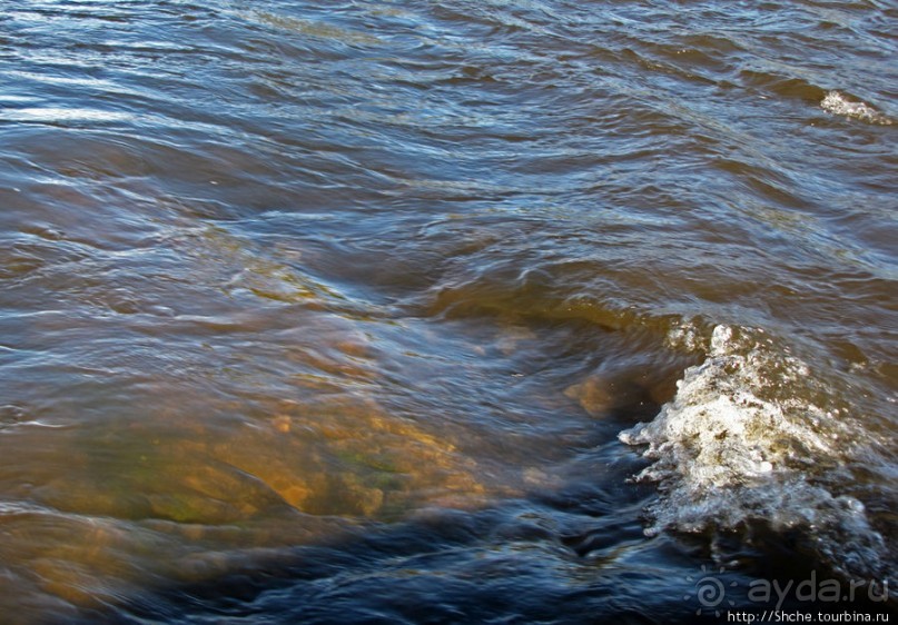 Река Мэдисон (Madison River) - 23 километра пути