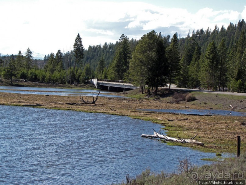 Река Мэдисон (Madison River) - 23 километра пути