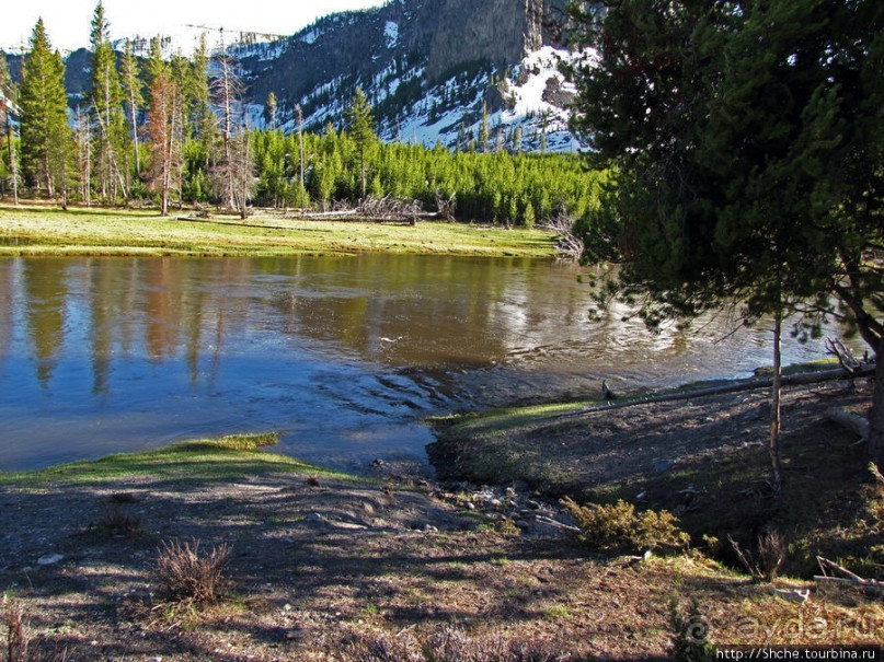Река Мэдисон (Madison River) - 23 километра пути