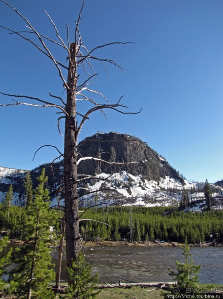 Река Мэдисон (Madison River) - 23 километра пути