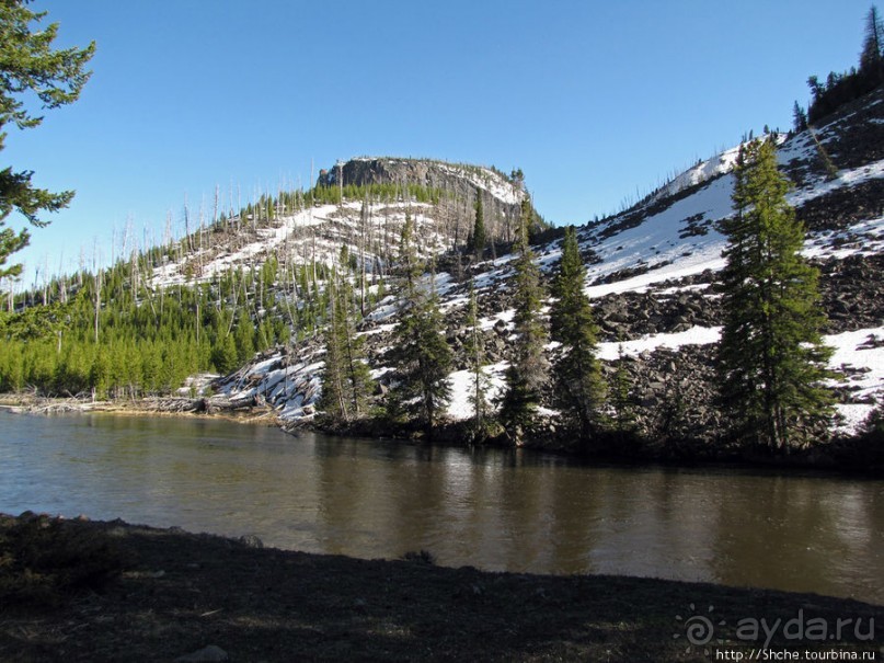 Река Мэдисон (Madison River) - 23 километра пути