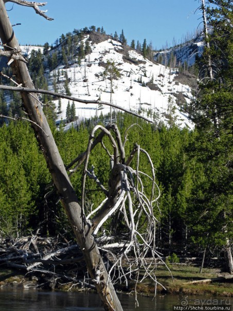 Река Мэдисон (Madison River) - 23 километра пути