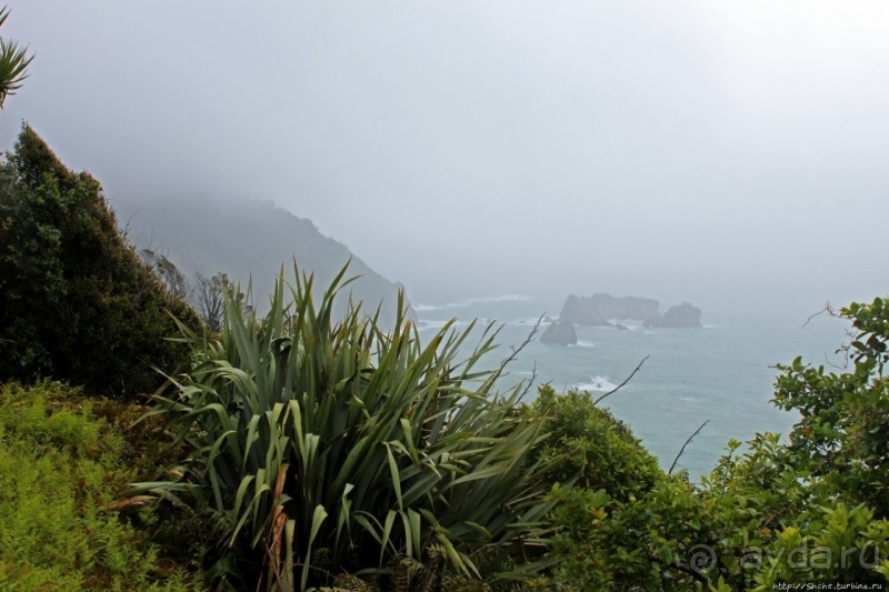 Knight's Point — точка на перевале, названная в честь собаки