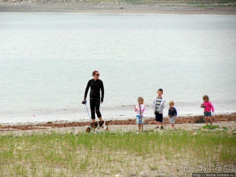 Городок Winthrop — обратная сторона Бостонской гавани