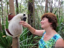 Страна Лемурия. 5 способов посмотреть лемуров на Мадагаскаре