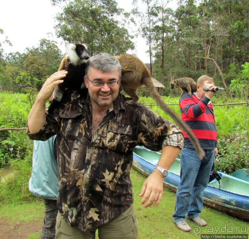 Страна Лемурия. 5 способов посмотреть лемуров на Мадагаскаре