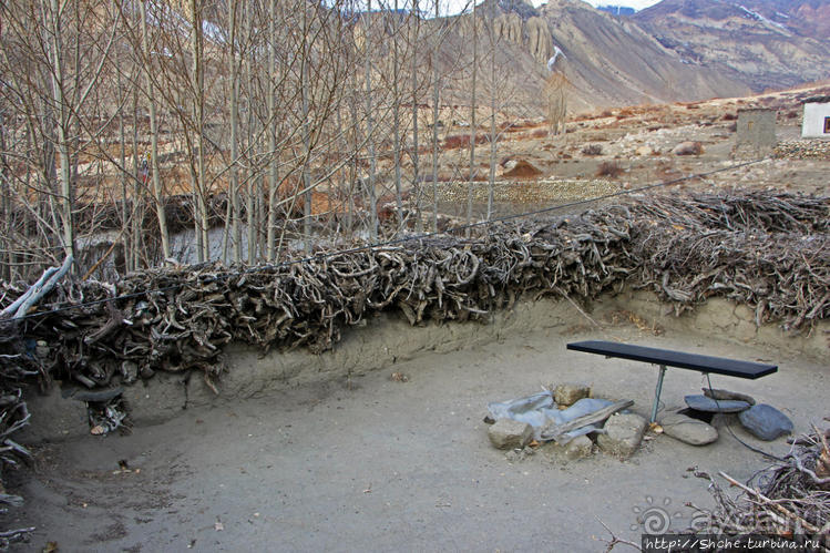 Мустанг. Вынужденная ночевка в обычном доме у местных