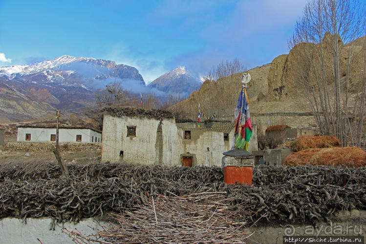 Мустанг. Вынужденная ночевка в обычном доме у местных