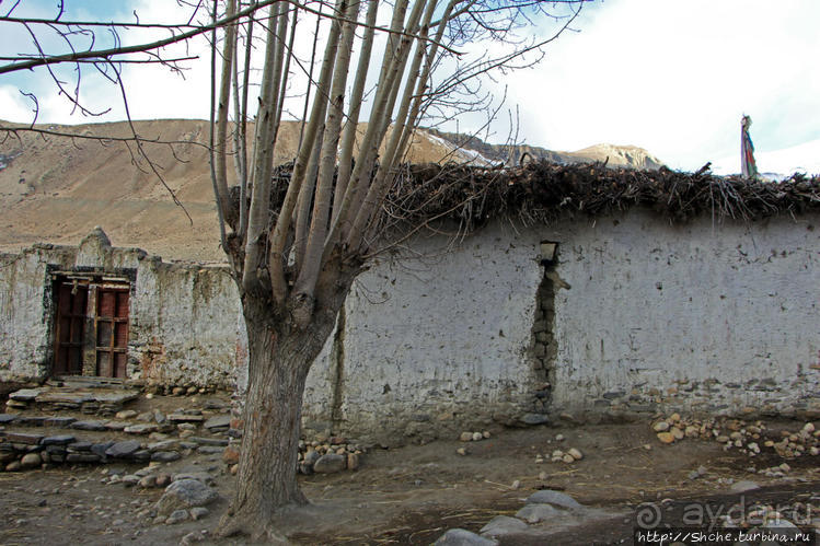 Мустанг. Вынужденная ночевка в обычном доме у местных