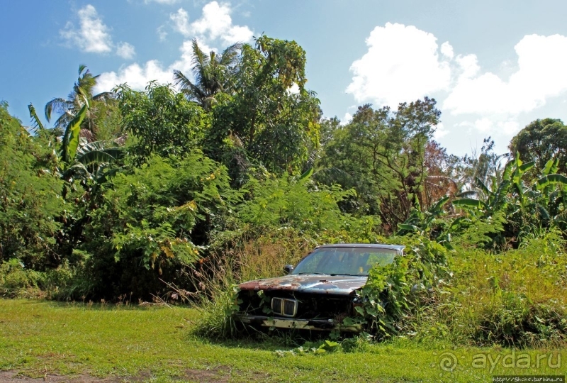 "Бэха"... в кустах