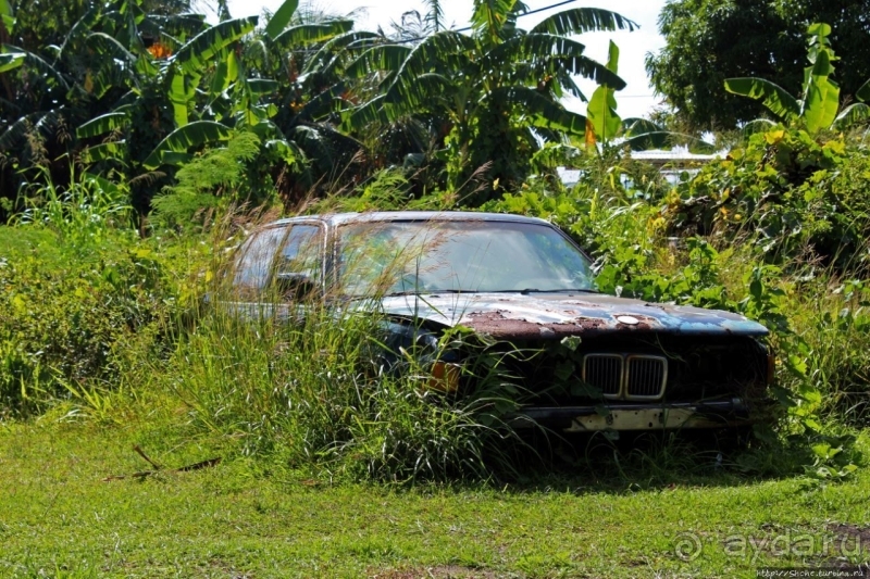 "Бэха"... в кустах